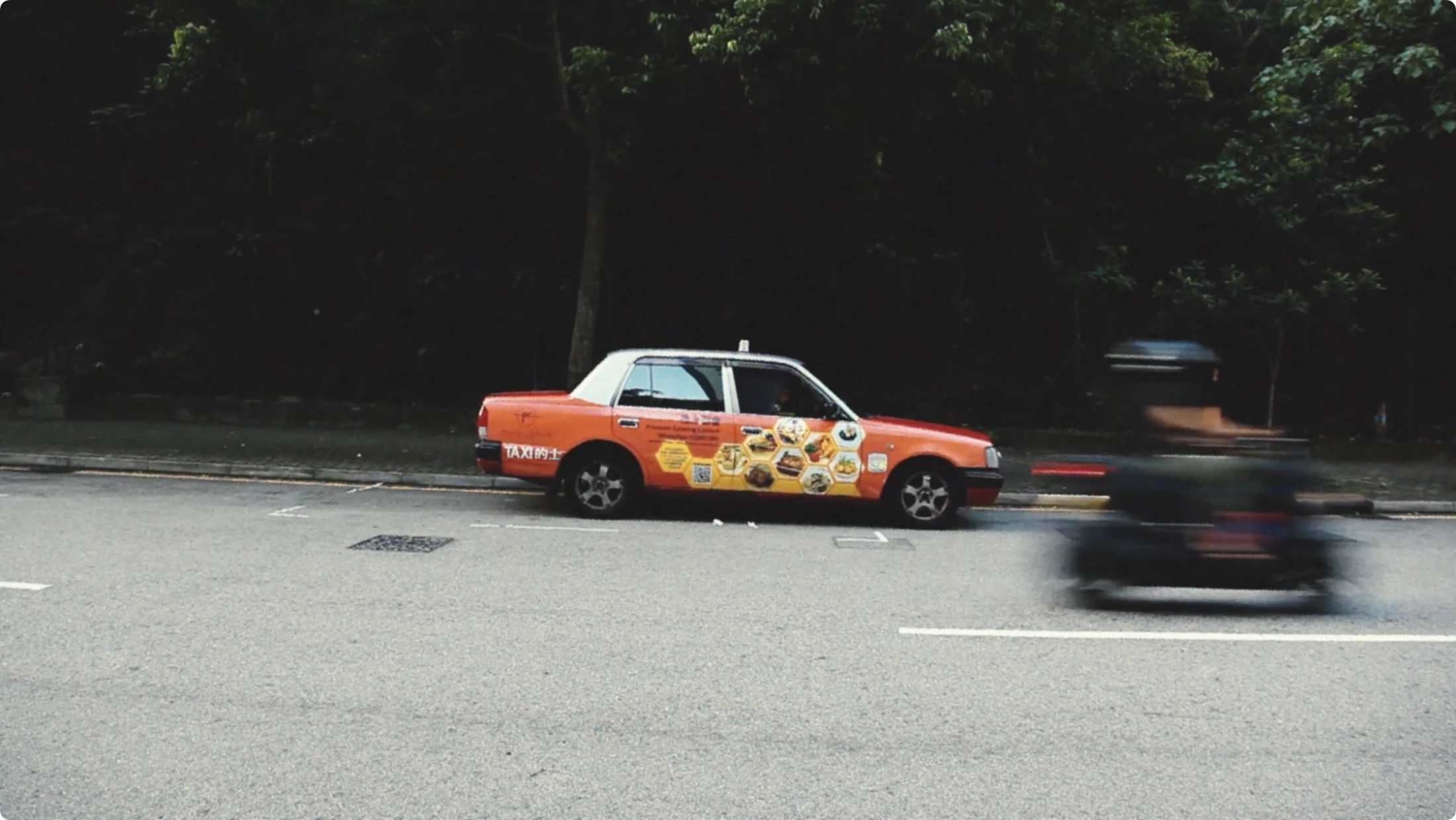Hippocampus — moving image.