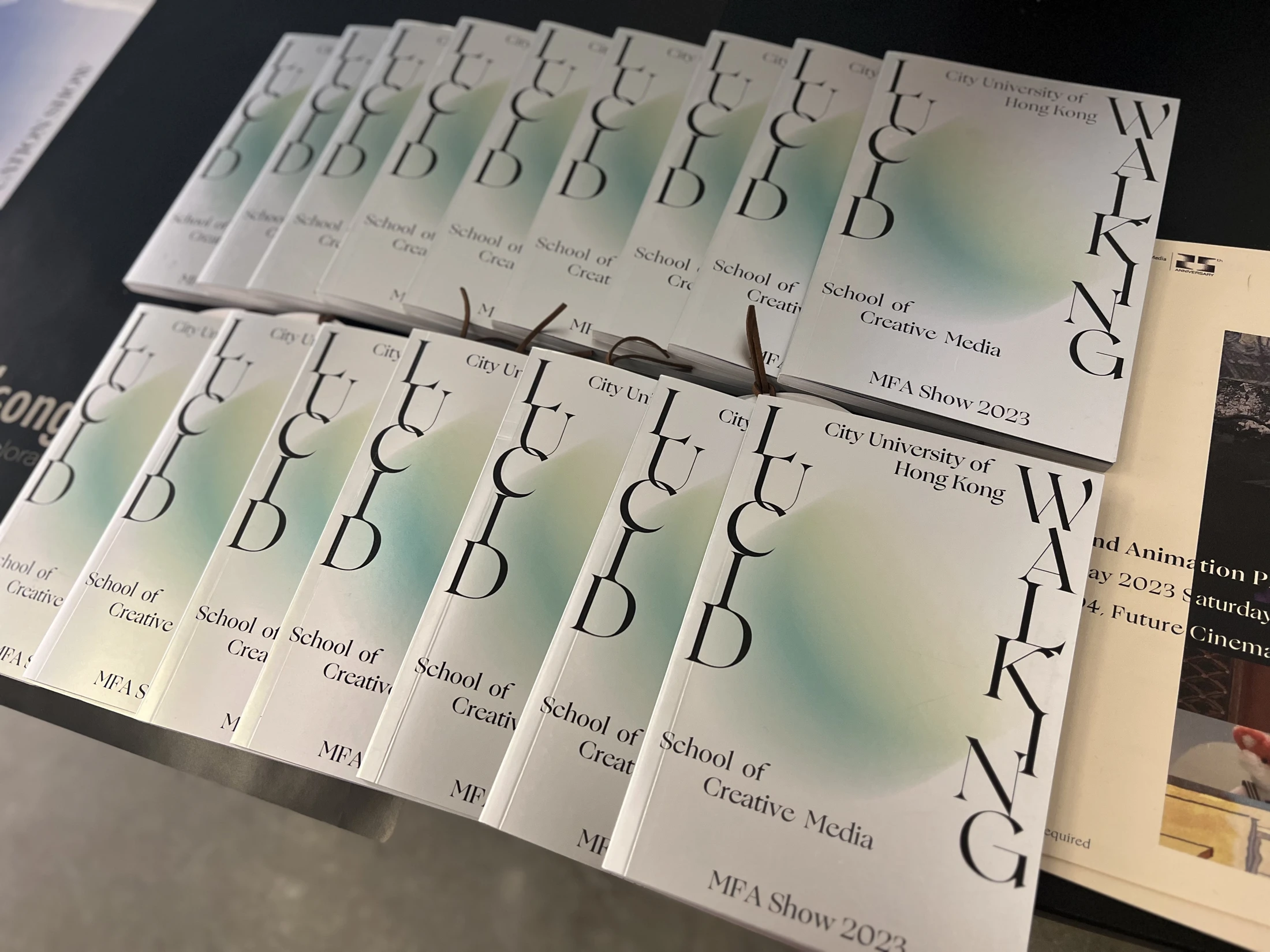 Lucid Walking — printed publication, view 2.