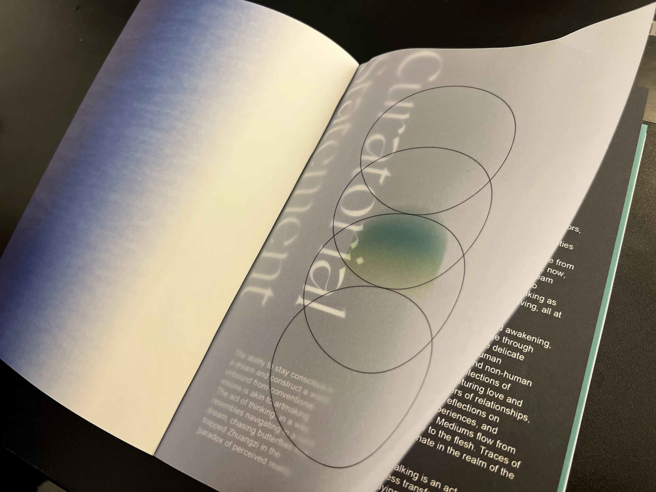 Lucid Walking — printed publication, view 3.