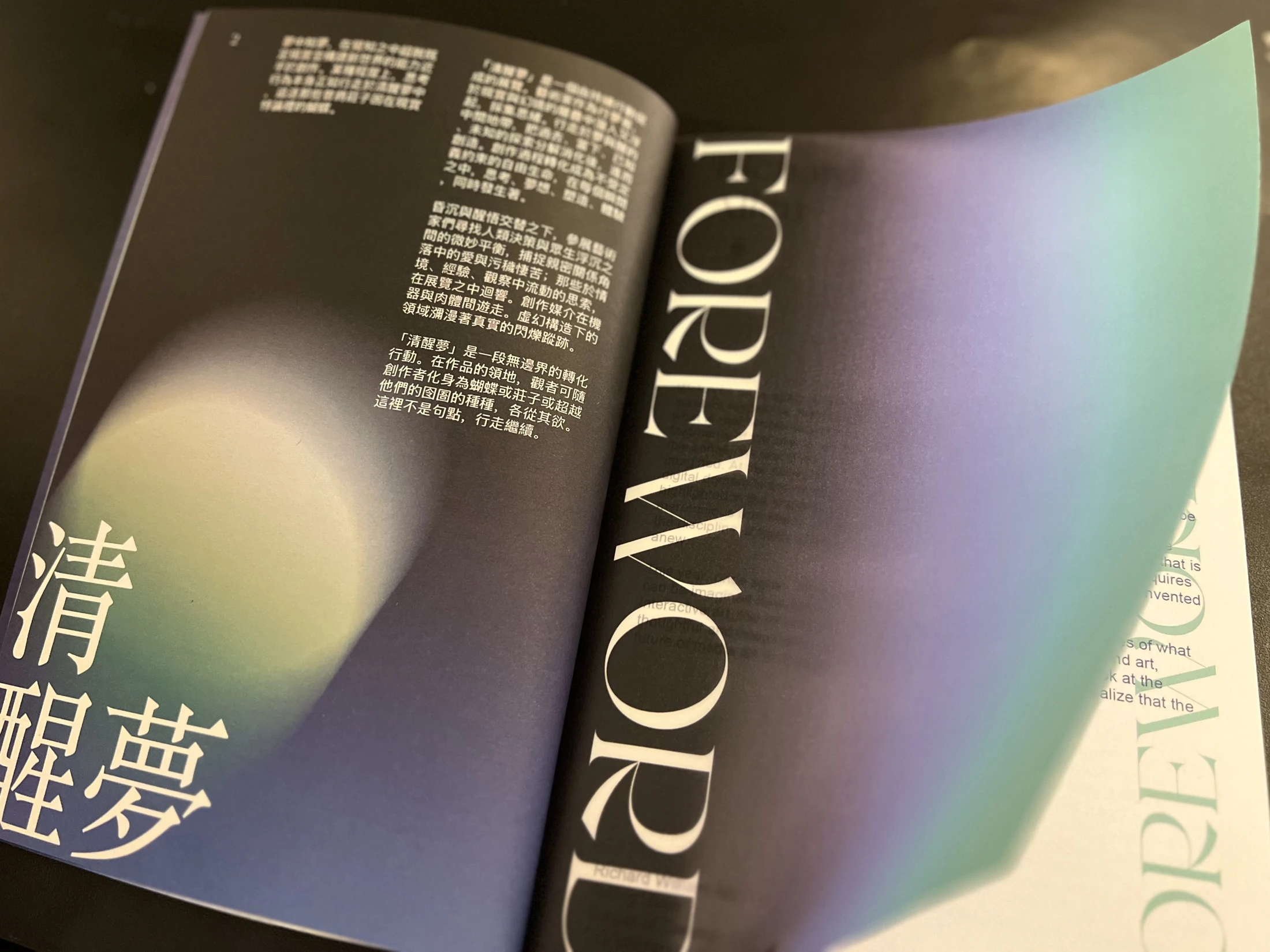 Lucid Walking — printed publication, view 4.