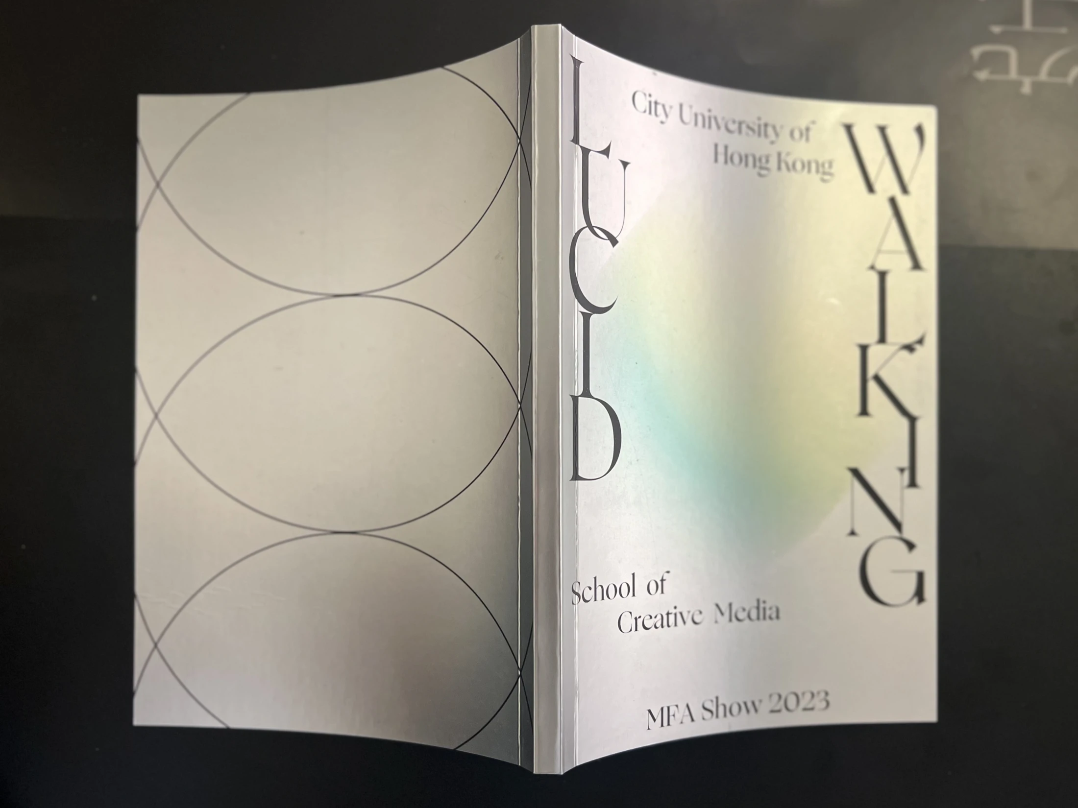 Lucid Walking — printed publication, view 5.