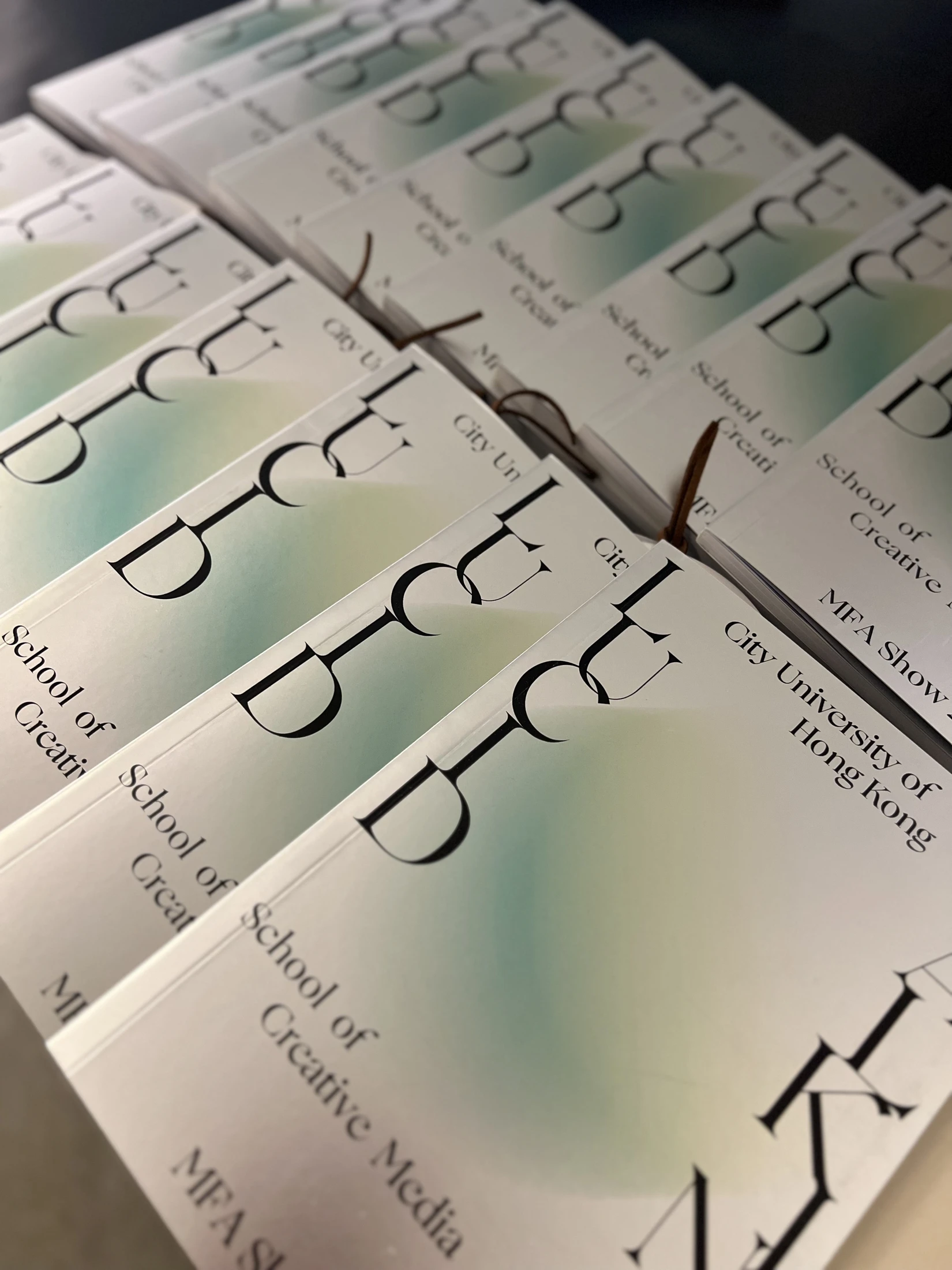 Lucid Walking — printed publication, view 6.